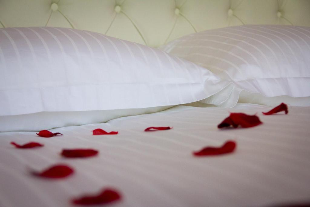 נובה גוריקה Guest House Sterk חדר תמונה